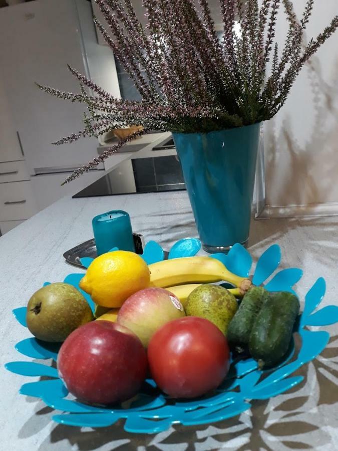 Apartament W Sercu Warmii I Olsztyn  Eksteriør billede